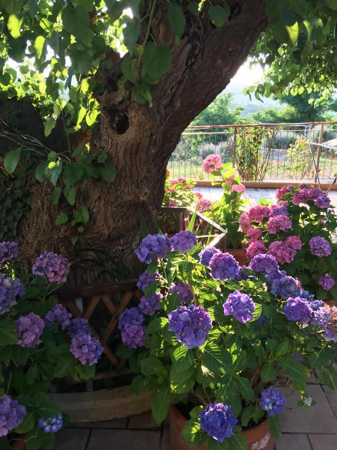 Bed and Breakfast La Casa Sul Golfo Ancona Exterior foto